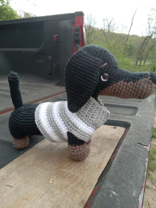 Dachshund