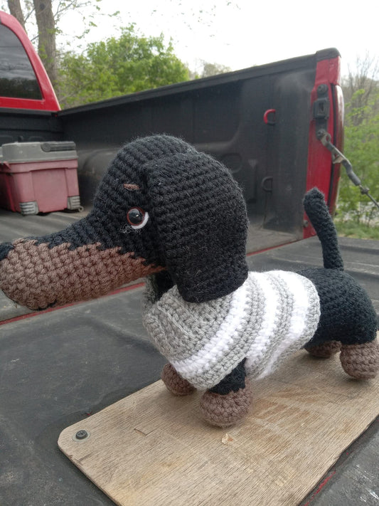 Dachshund